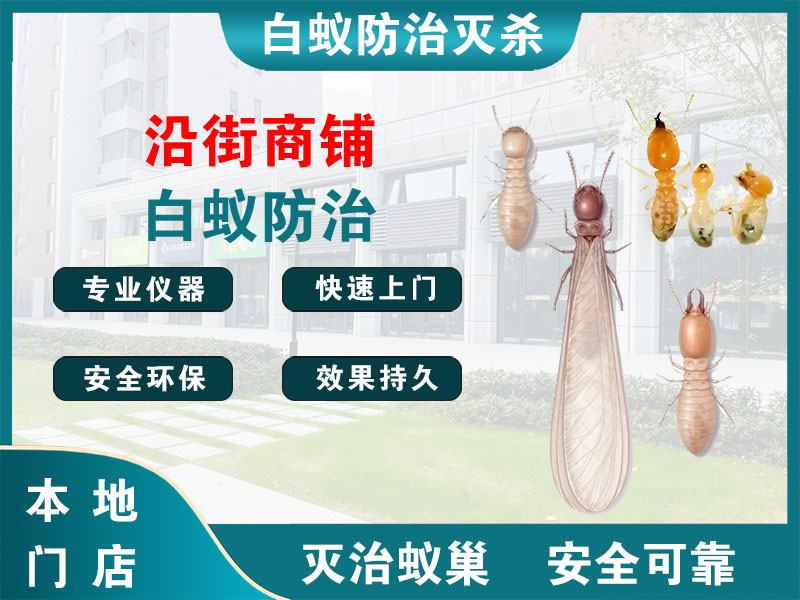 柯桥区沿街商铺白蚁防治