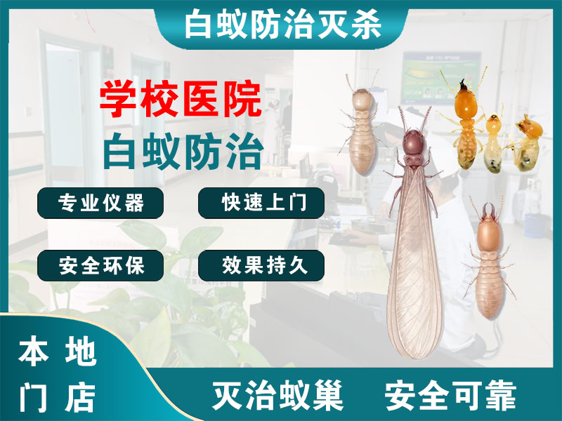 柯桥区学校医院白蚁防治