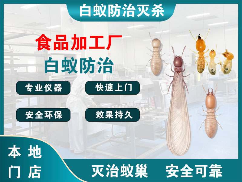 柯桥区食品加工厂白蚁防治