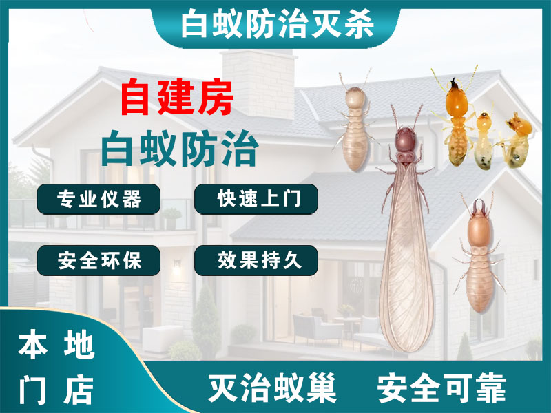 柯桥区自建房白蚁防治