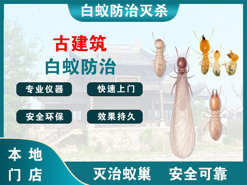 柯桥区古建筑白蚁防治