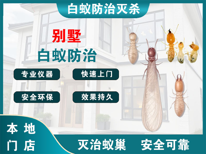 柯桥区别墅白蚁防治