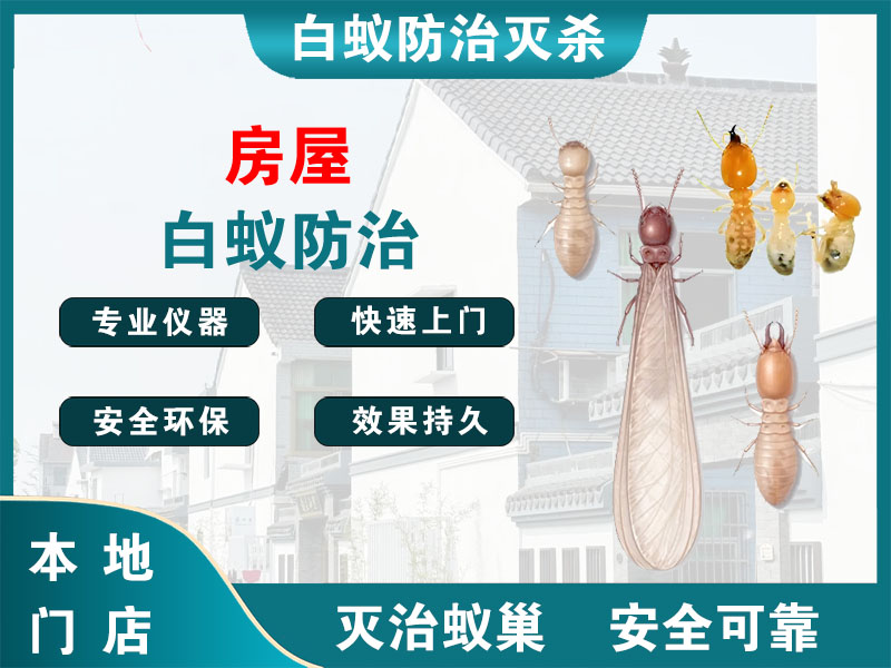 柯桥区房屋白蚁防治